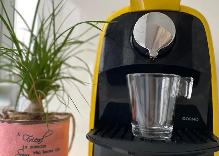 Carol House Appartement Nazaré