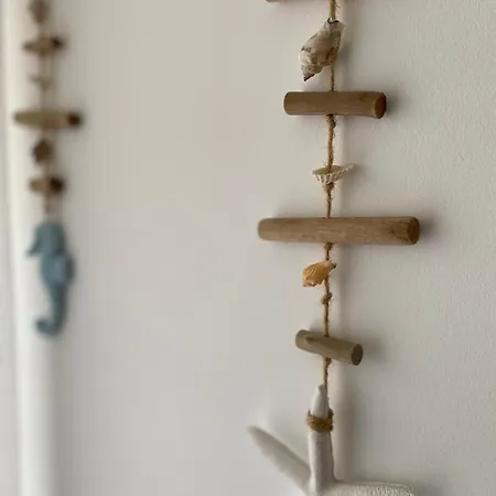 Carol House Apartamento