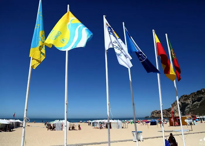 Carol House דירה *